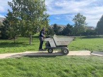 Joe on Buggy